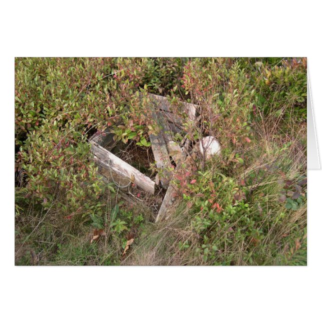 Caja de langostas y bobber, Maine, EE.UU. (Anverso (Horizontal))