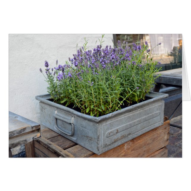 Caja de lavanda en el mercado de las flores (Anverso (Horizontal))