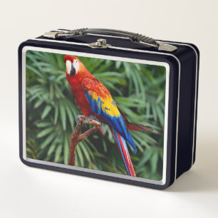 Caja de metal para almuerzo de hermosa guacamaya