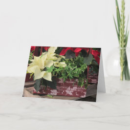 Caja de navidad
