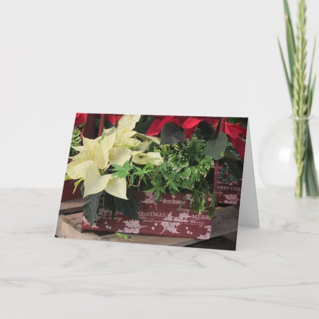 Caja de navidad (Anverso)