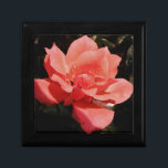 Caja De Regalo Bonito Rosa Rosa Rosa floral<br><div class="desc">Rosa Rosa Rosa Rosa Rosa Rosa Rosa de Peach. Hermosa foto de una rosa rosa rosa color pavo de la artista Sandra Marie Closs. Añade tu propio texto, nombre o monograma para crear el producto perfecto para cualquier ocasión. Boda, fiesta de la fiesta nupcial, simpatía, cumpleaños, ducha de bebé, cualquier...</div>