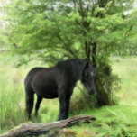 CAJA DE REGALO CABALLOS<br><div class="desc">Una hermosa yegua negra descansando a la sombra de un árbol. Acuarela. Gales Reino Unido.</div>