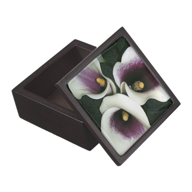 Caja De Regalo Calas Curvy (Abierto)