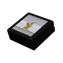 Cofre de Joyas de Madera