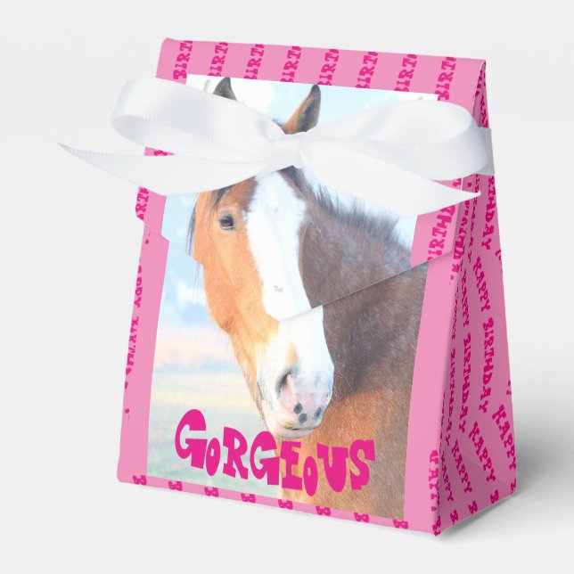 Caja de regalo de cumpleaños de caballo (Front Side)