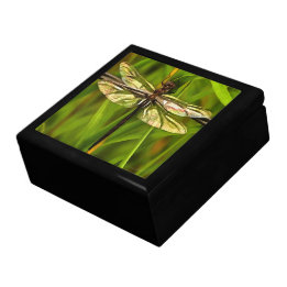Caja De Regalo Dragonfly Artificial En Marrón Y Amarillo En Verde