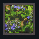 Caja De Regalo Flor morada y abeja burbuja<br><div class="desc">Flor de abeja púrpura y burbujas amarillas y negras. Foto de Sandy Closs tomada en Lake Arrowhead morado,  "bálsamo de abeja",  flor,  flores,  floral,  primavera,  cereza,  cerezas,  jardín,  boda,  bodas, </div>