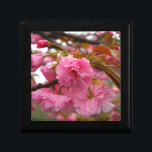 Caja De Regalo Flores de flores de cerezo rosado caliente<br><div class="desc">Flores de flores de cerezo rosado caliente Foto de Sandy Closs tomada en Lake Arrowhead Rosa,  flor,  flores,  flores,  flores,  primavera,  cerezas,  cerezas,  jardín,  boda,  bodas, </div>