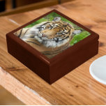 Caja De Regalo Foto del tigre del gato grande de Sumatra<br><div class="desc">Almacenar baratijas,  joyas y otros pequeños keepsakes en esta caja de regalo de madera con azulejos de cerámica que muestran la imagen de un gran y hermoso Tigre de Sumatra,  una especie de fauna en peligro de extinción. Seleccione el tamaño y el color de su caja de regalo.</div>