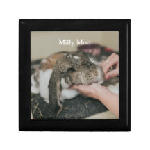 Foto Mascota personalizada