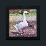 CAJA DE REGALO GEESE<br><div class="desc">Un diseño artístico de una oca domesticada.</div>