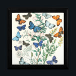 Caja De Regalo Ilustracion de mariposas vintage<br><div class="desc">Cuadro Ilustrado de mariposas antiguas. Ilustracion de dominio público de mariposas a todo color bellamente dibujadas</div>