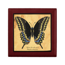 Mariposa negra de Swallowtail