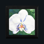 Caja De Regalo Orquídea Blanca<br><div class="desc">pintura original romántica en color orquídea blanca con acuarela de H Cooper</div>