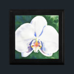 Caja De Regalo Orquídea Blanca<br><div class="desc">pintura original romántica en color orquídea blanca con acuarela de H Cooper</div>