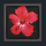 Caja De Regalo Red Hibiscus<br><div class="desc">Hibiscus Rojo Hibiscus es una planta floreciente de la familia mallow, Malvaceae. Es bastante grande, contiene varios cientos de especies que son nativas de regiones templadas, subtropicales y tropicales cálidas en todo el mundo. Envíe un mensaje a sandycloss@gmail.com o sandycloss.smugmug.com si desea ver alguno de estos diseños en un producto...</div>