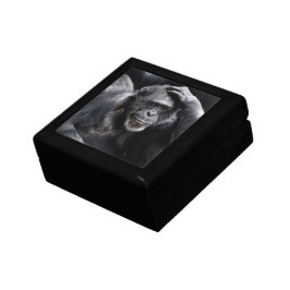 Caja De Regalo Regalo/joyero viejos del chimpancé
