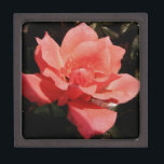 Caja De Regalo rosa de melocotón y gotas de lavado<br><div class="desc">Rosa de jardín encantador de melocotón rosa. perfecto para un boda, cumpleaños de novias de compromiso o Envíe un mensaje a sandycloss@gmail.com si desea ver alguno de estos diseños en un producto no mostrado. Con gusto haré un producto hecho a personalizado sólo para ti. Para buscar un producto en particular,...</div>