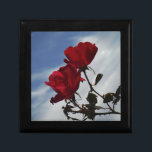 Caja De Regalo Roses rojos contra un brillante cielo azul<br><div class="desc">Roses rojos contra un cielo azul brillante. Foto de Sandy Closs,  tomada en Lake Arrowhead. "rosa roja" "rosas rojas" "rosa rosada" "rosas rosas rosas rosas" "bodas" "regalo de amor" "flor roja" "flores rojas" "rosas de flores rojas" azul rojo "regalos con rosas"</div>