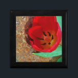 Caja De Regalo Tulipán rojo y amarillo primavera<br><div class="desc">Tulipán rojo y amarillo primavera contra una roca marrón en el lago Arrowhead. Foto de Sandy Closs. Pascua,  flores,  flores rojas,  primavera,  valentina,  valentinas,  boda,  bodas,  San Valentín</div>