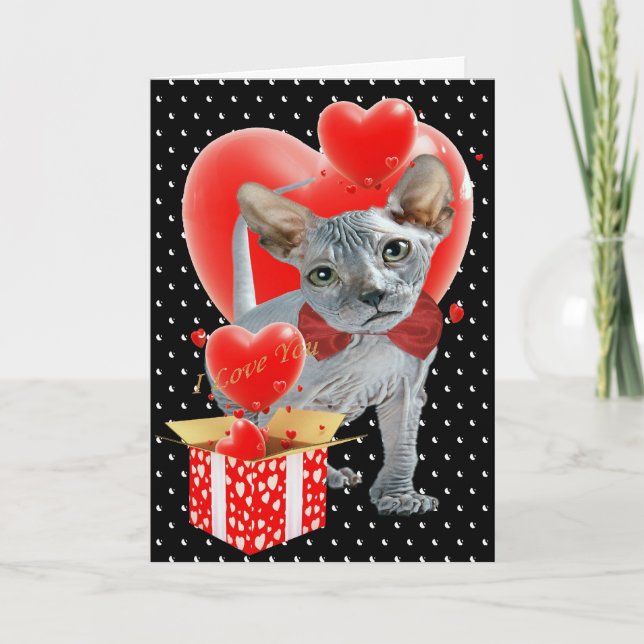 Caja de Sphynx de tarjetas de la tarjeta del día (Anverso)
