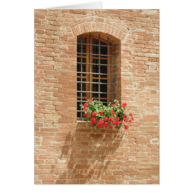 Caja de ventana (Frente)