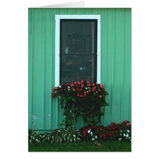 Caja de ventana de Impatients