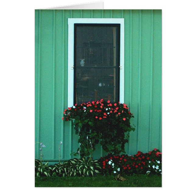 Caja de ventana de Impatients (Frente)