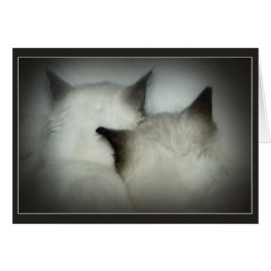 caja fuerte y sonido