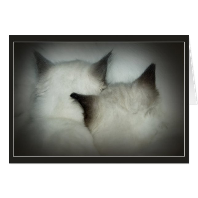 caja fuerte y sonido (Anverso (Horizontal))