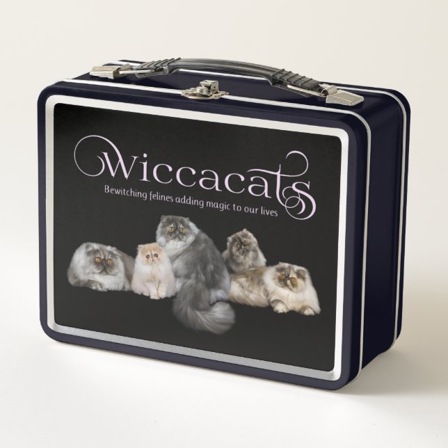 Caja metalizado de WiccaCats (Anverso)