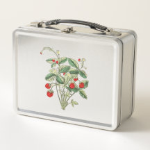 Caja para almuerzo de fresa silvestre