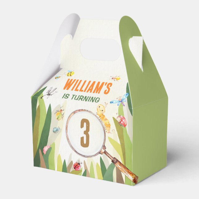 Caja Para Regalos Acuarela Bug Insect Boy Cumpleaños (Front Side)
