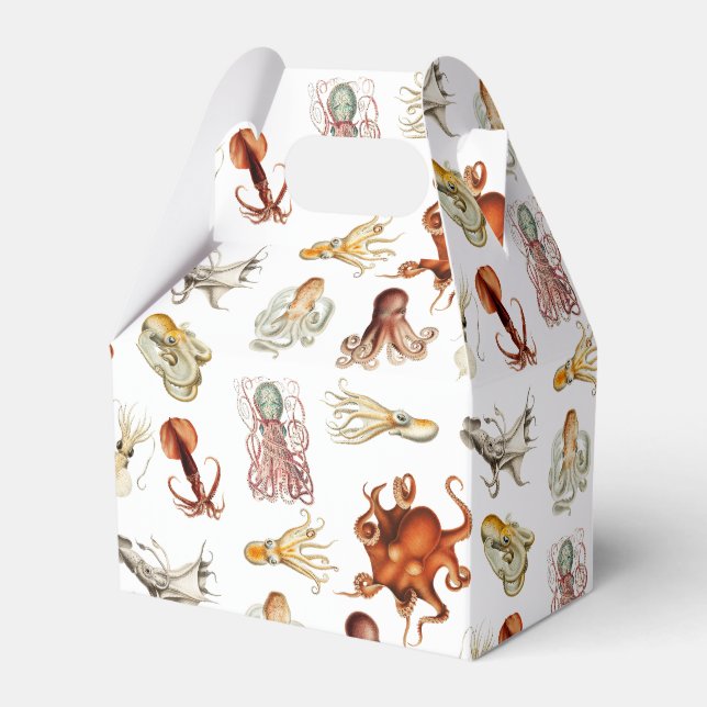 Caja Para Regalos Acuarela Octopus Cephalopod Ocean Animals (Front Side)