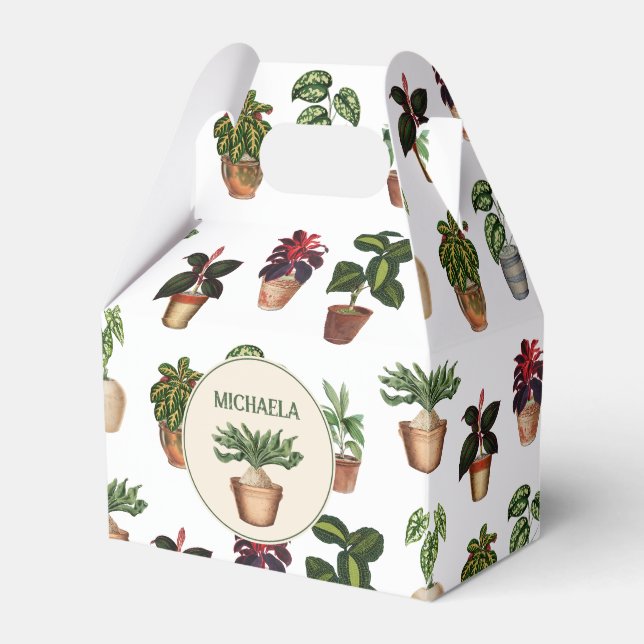 Caja Para Regalos Acuarela Plantas Potadas Terracotta Nombre de olla (Front Side)