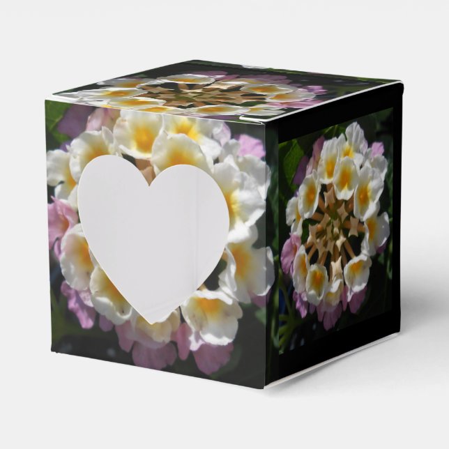 Caja Para Regalos Adelaparre (Anverso)