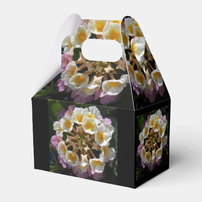 Caja Para Regalos Adelaparre (Front Side)