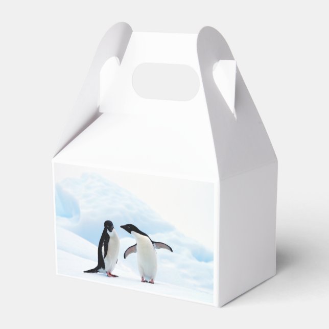 Caja Para Regalos Adelie Penguins (Reverso)