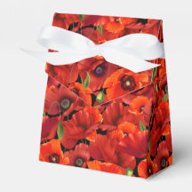 Amapola