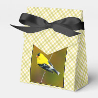 American Goldfinch - Fotografía original