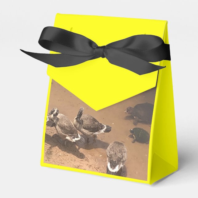 Caja Para Regalos Amor al zoológico (Front Side)