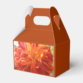 Caja Para Regalos Anastaise