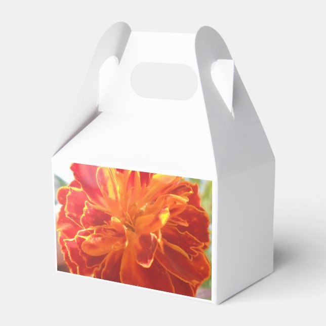 Caja Para Regalos Anastaise (Front Side)