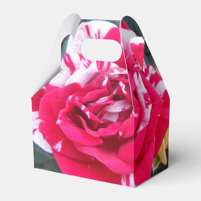 Caja Para Regalos Anicia (Front Side)