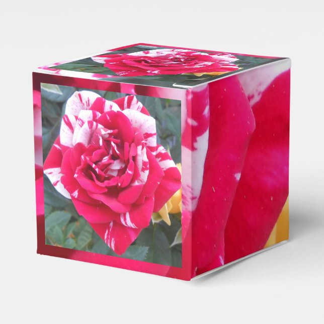 Caja Para Regalos Anicia (Costado Anverso)