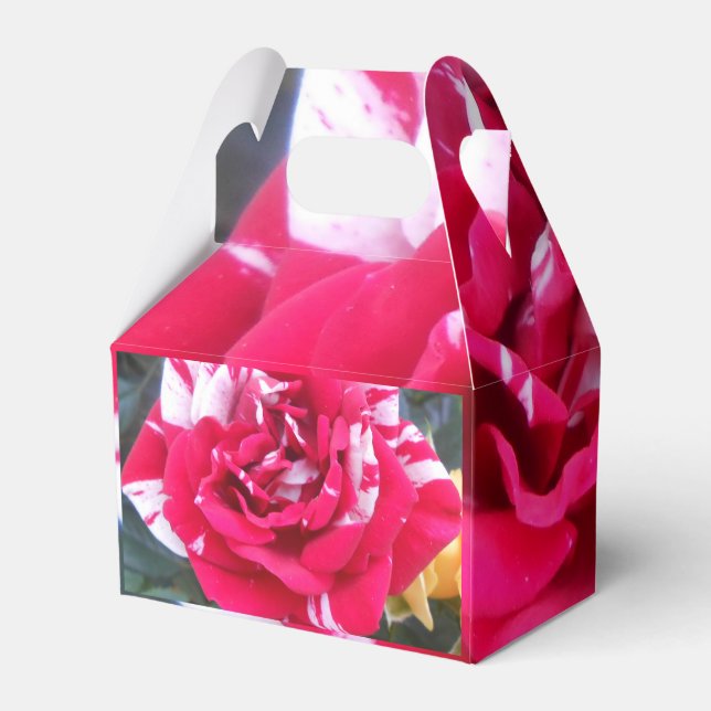 Caja Para Regalos Anicia (Reverso)