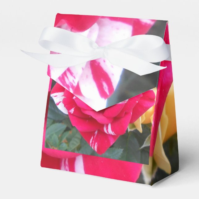 Caja Para Regalos Anicia (Front Side)