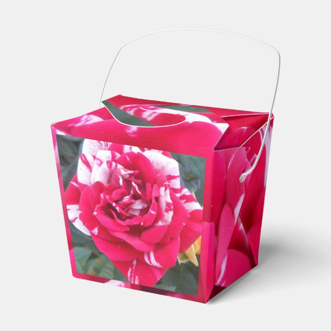 Caja Para Regalos Anicia (Front Side)