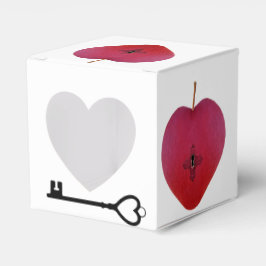 Caja Para Regalos Apple de amor secreto